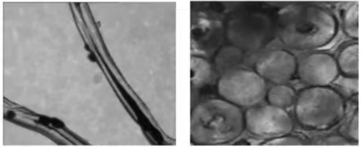 yp街机·电子游戏(中国)官方网站